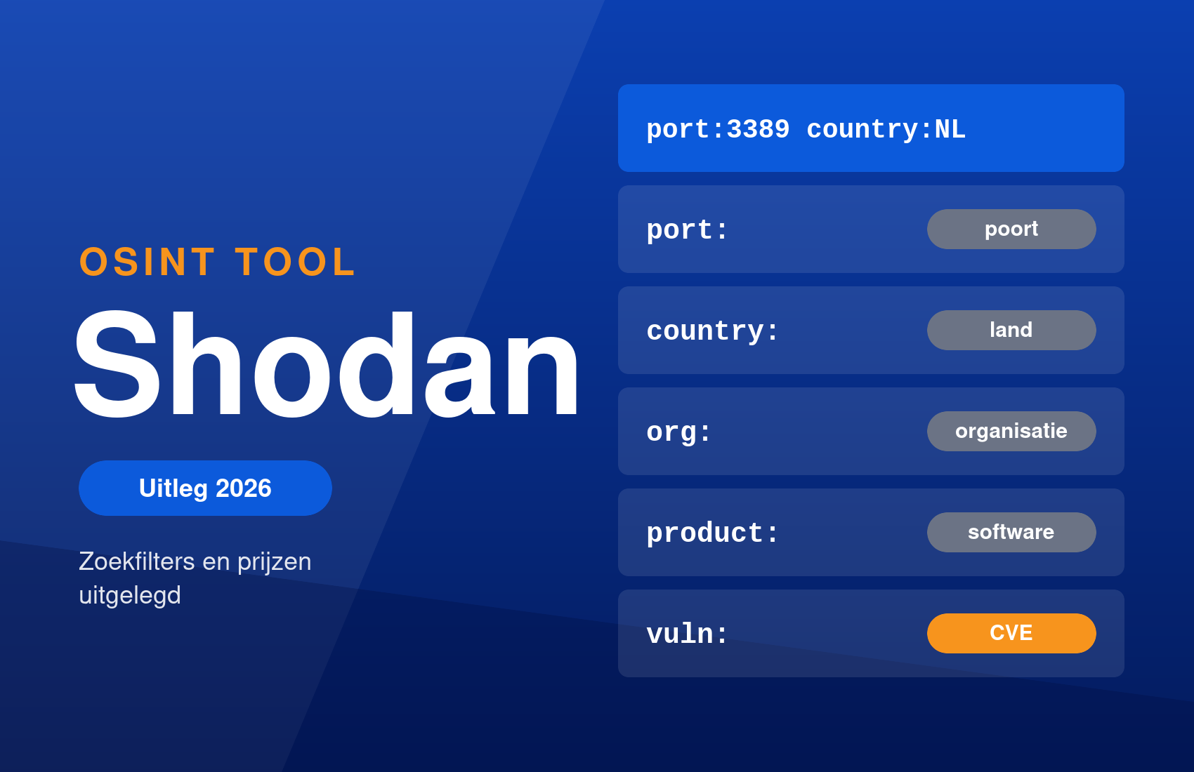 Shodan-zoekopdracht port:3389 country:NL met de filters port, country, org, product en vuln